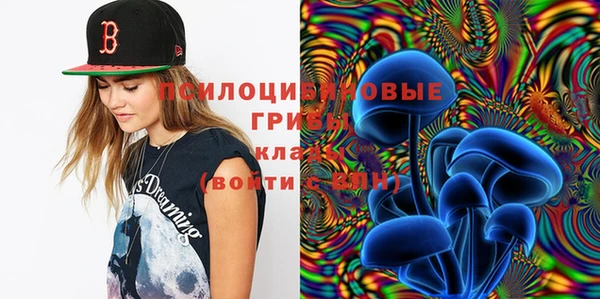 мяу мяу мука Алексеевка