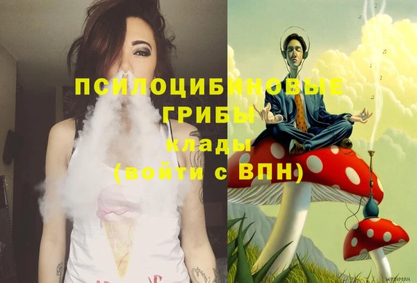 мяу мяу мука Алексеевка