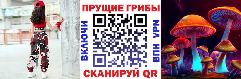 Галлюциногенные грибы Psilocybe  купить   Кирс 